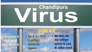 Chandipura Virus, चांदीपुरा वायरस