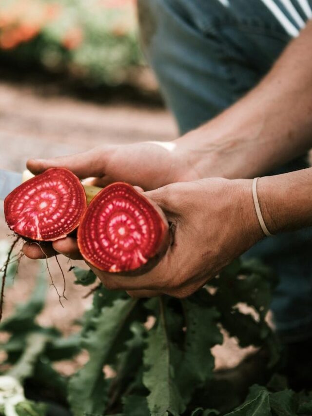 Beetroot: 8 ways to consume for maximum benefits