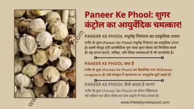 Paneer Ke Phool का पौधा और सूखे फूल, मधुमेह नियंत्रण के लिए आयुर्वेदिक उपाय।