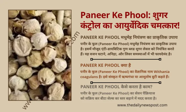 Paneer Ke Phool का पौधा और सूखे फूल, मधुमेह नियंत्रण के लिए आयुर्वेदिक उपाय।