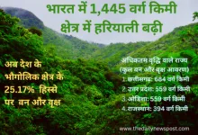 Forest Cover: भारत में 1,445 वर्ग कि.मी. क्षेत्र में हरियाली बढ़ी