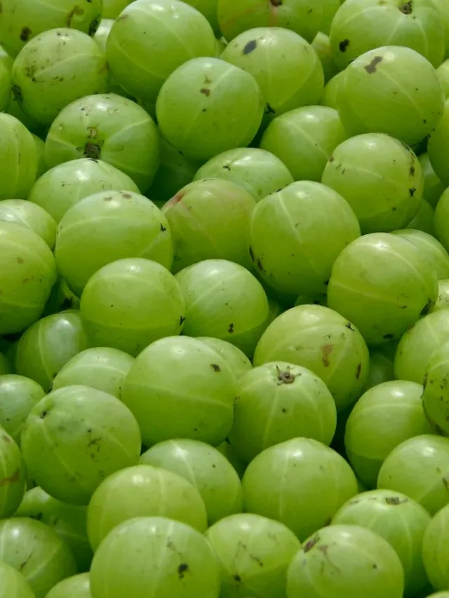 8 Creative Ways to Include Amla in Your Diet for Immunity